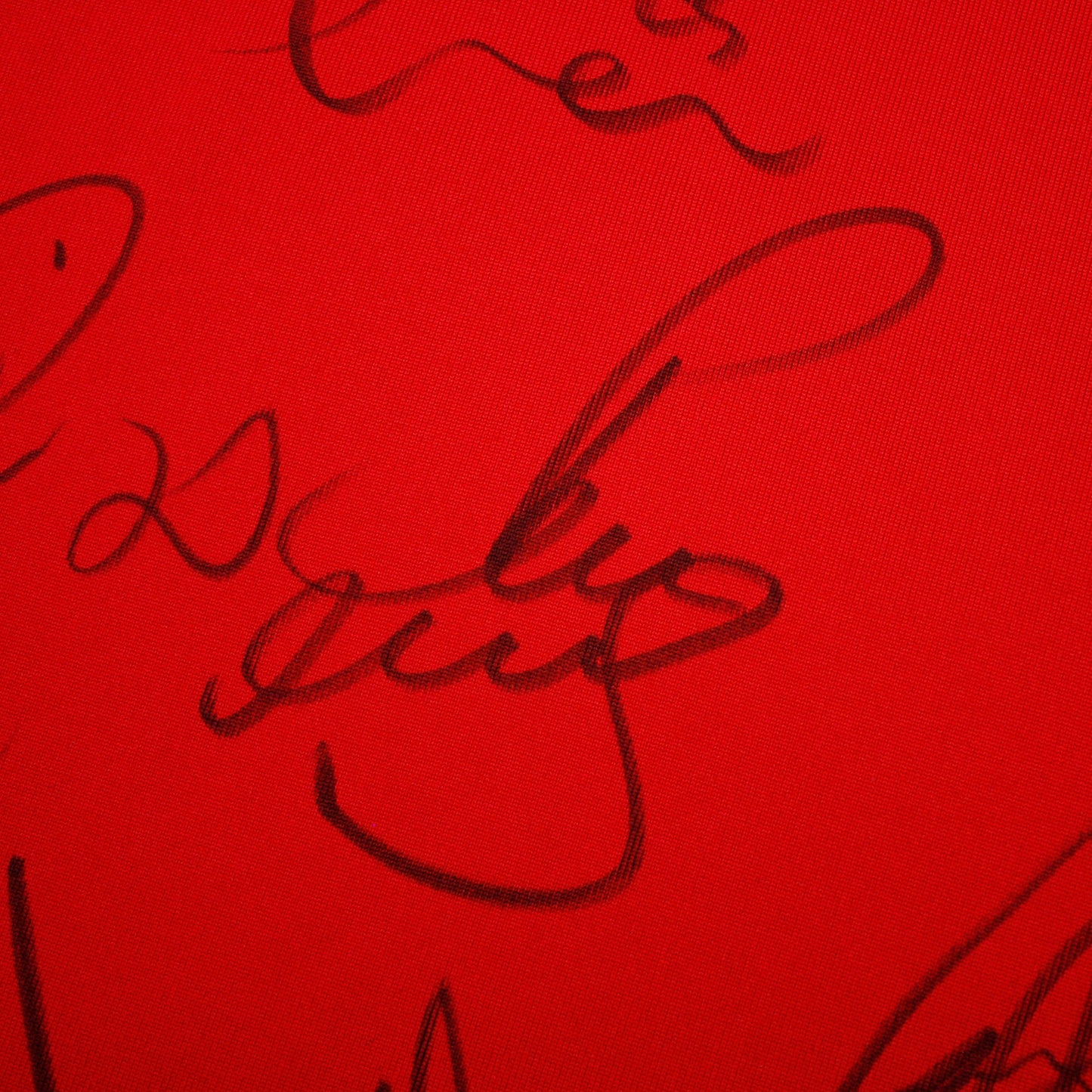 Manchester United 09/10 • Home shirt *Signed & Player Issue* • XL