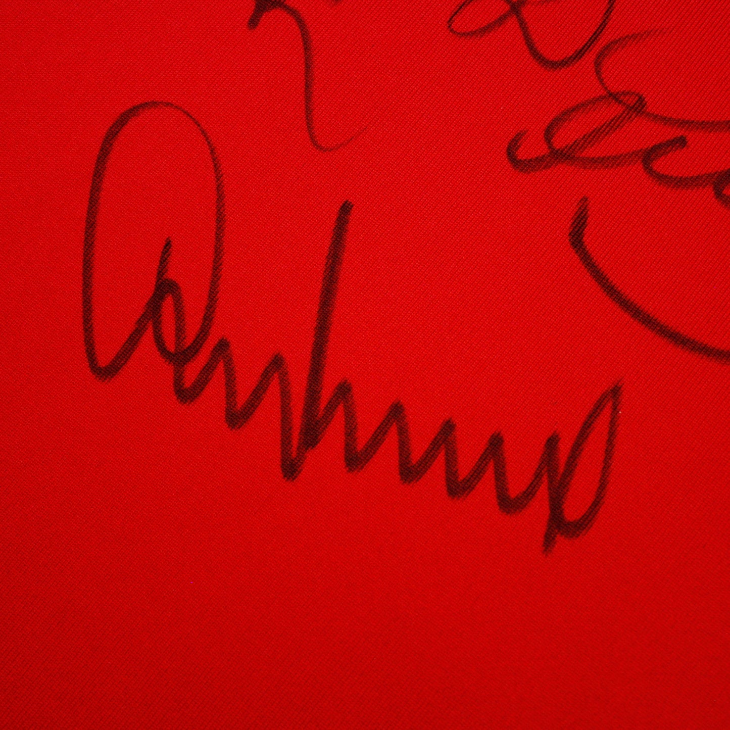 Manchester United 09/10 • Home shirt *Signed & Player Issue* • XL